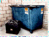Neat / Sanitary Dumpster
